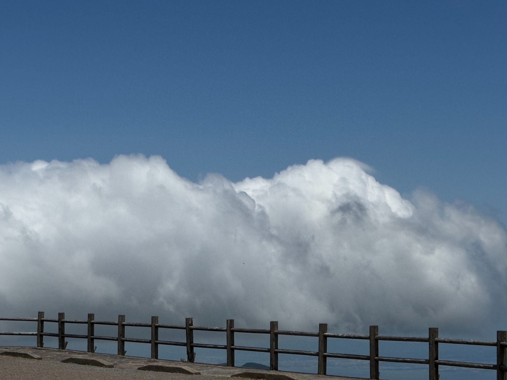 海の上に立ち上がる大きな雲