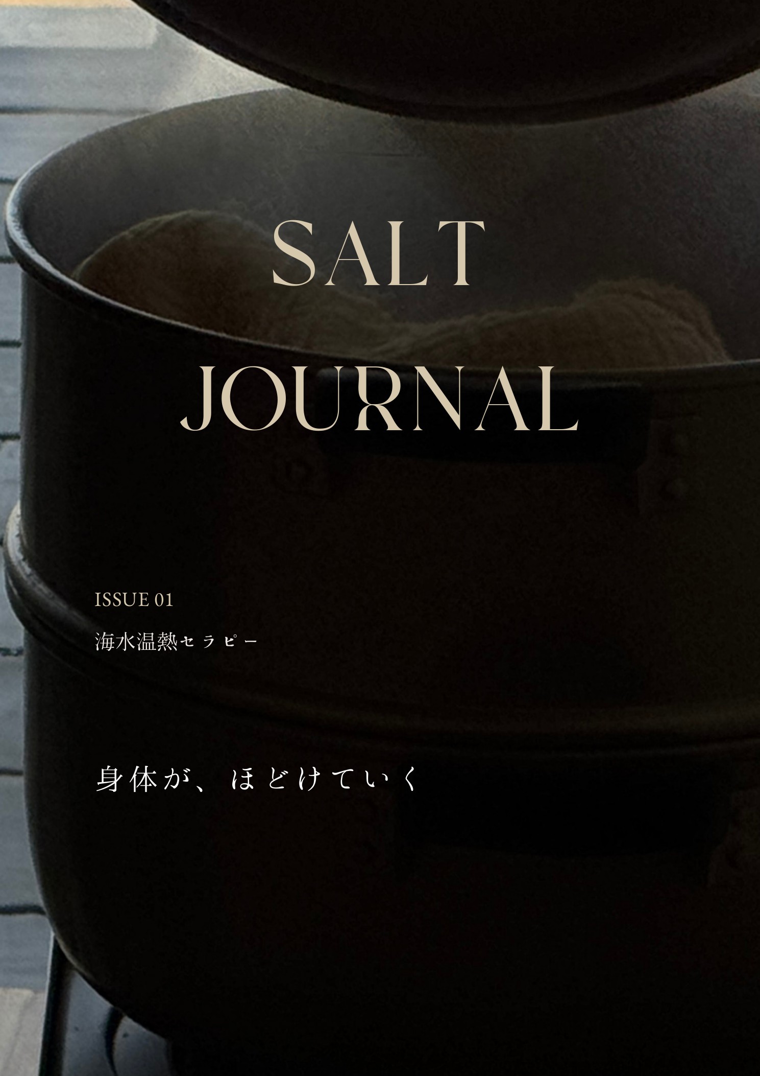 海水温熱の蒸気を写したSALT JOURNAL ISSUE 01の表紙
