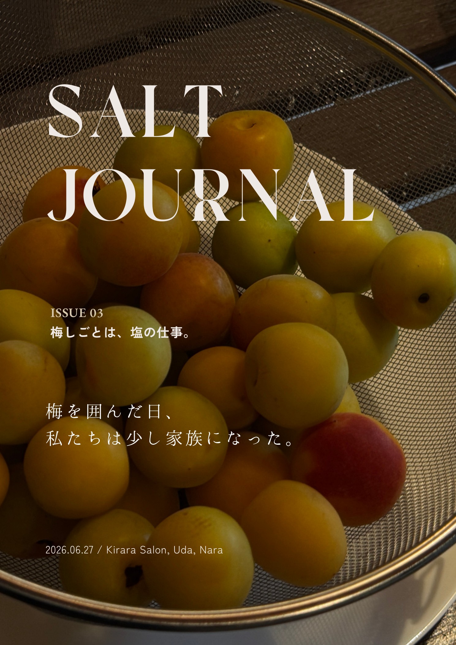 梅が並ぶSALT JOURNAL ISSUE 03の表紙