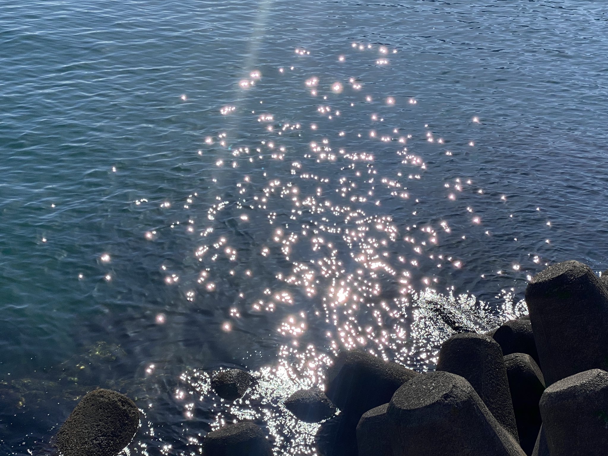 海面に散る光